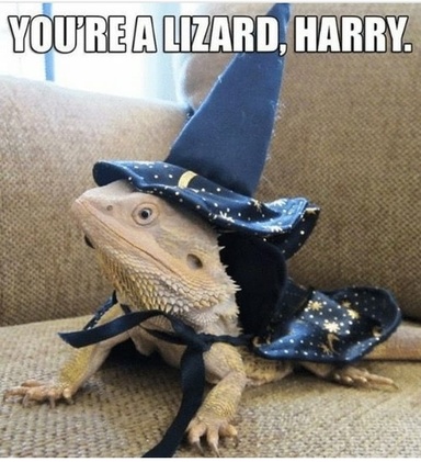 LizardWizardDev