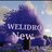 Welidro