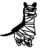 zebrawashere
