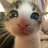 Someer