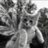 normative code