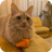 ! dedreborned