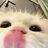 pluge