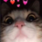 Siril