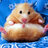 V_ctile_Hamster