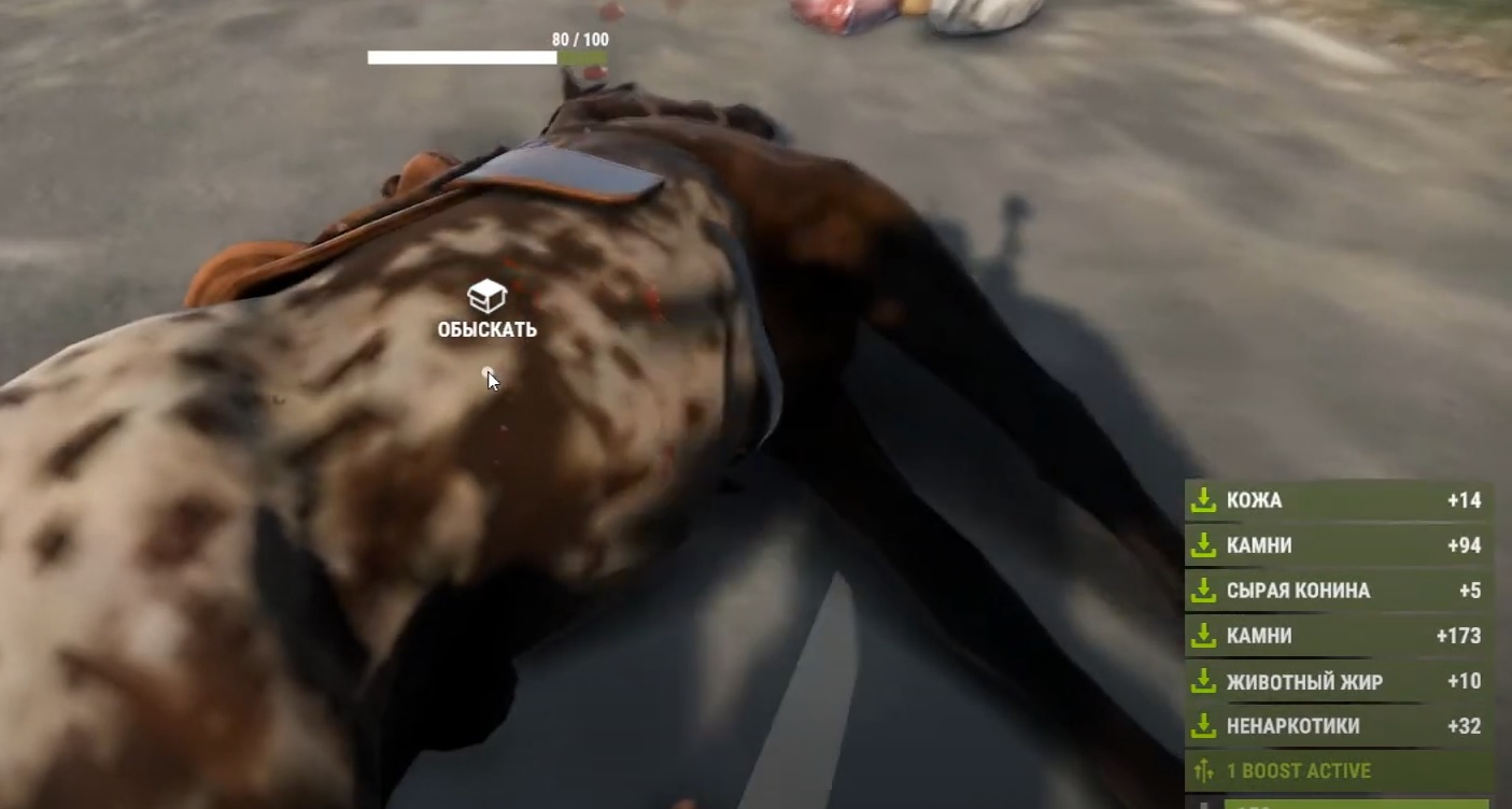 animalloot2.jpg