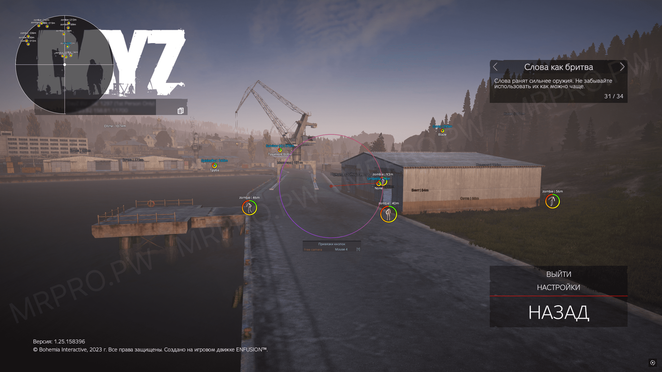 mrpro_dayz_2.png