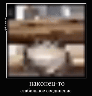 komaru-cat-connection-fullhd.gif