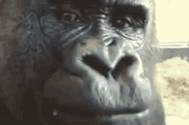 zBHw9XR.gif