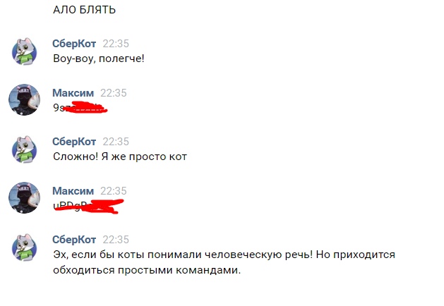 ph6DhqucY3s.jpg