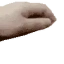 :PETPET: