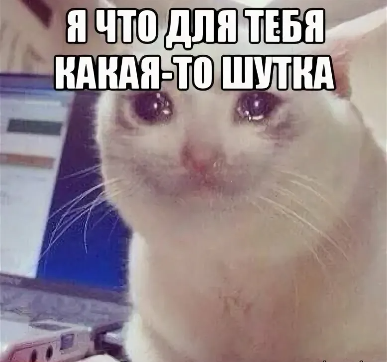 rHpnL0q.png
