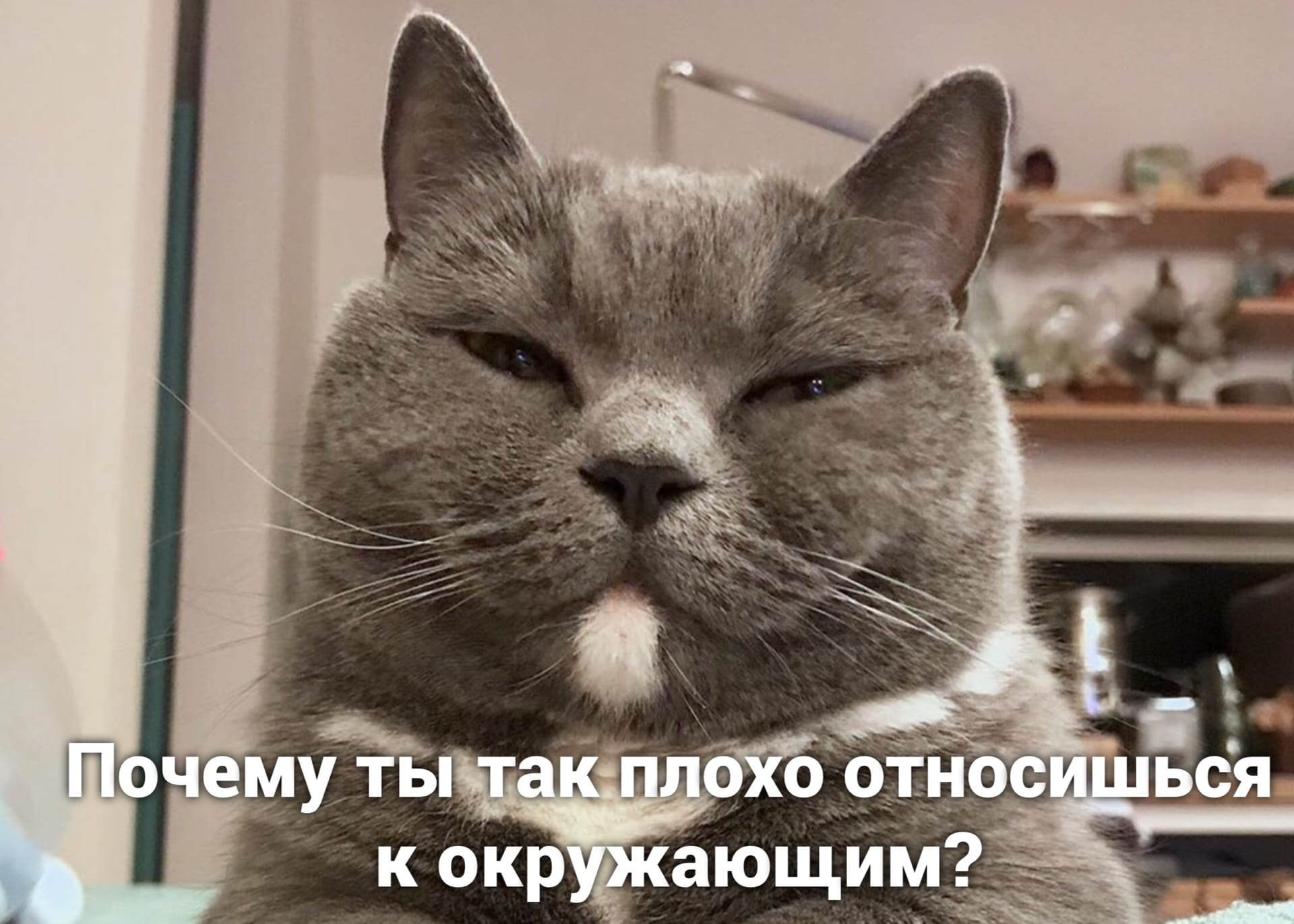 VK2dxeu.png