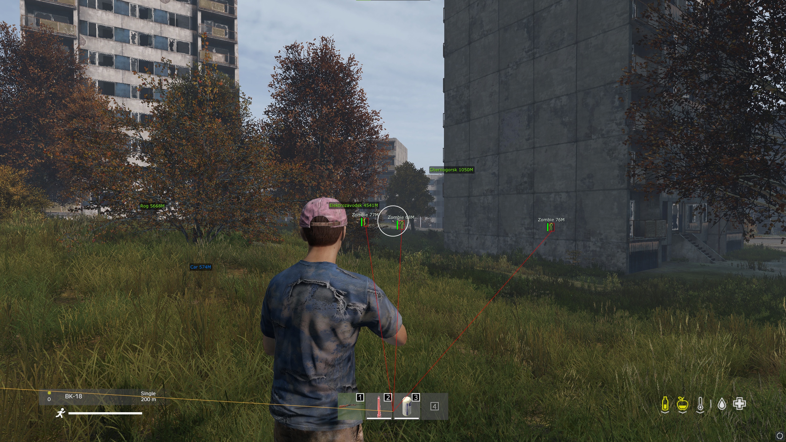 dayzauths3.jpg