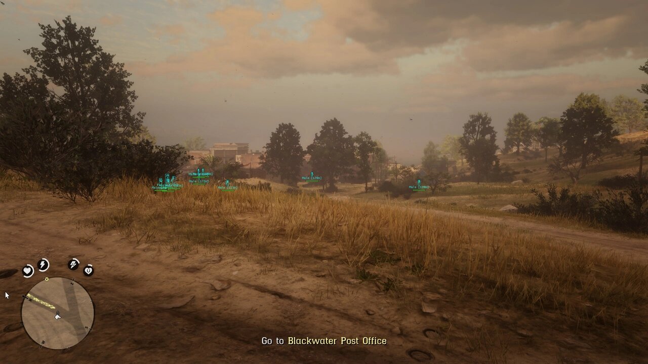 RDRO2.jpg