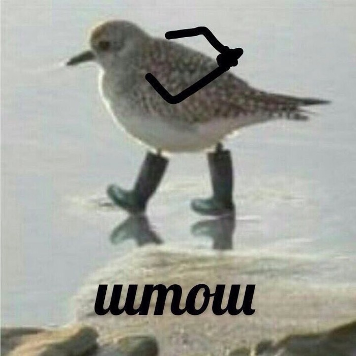 QOt80K4.png