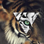 FYDknSQ.png