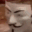 XSUwZM0.gif