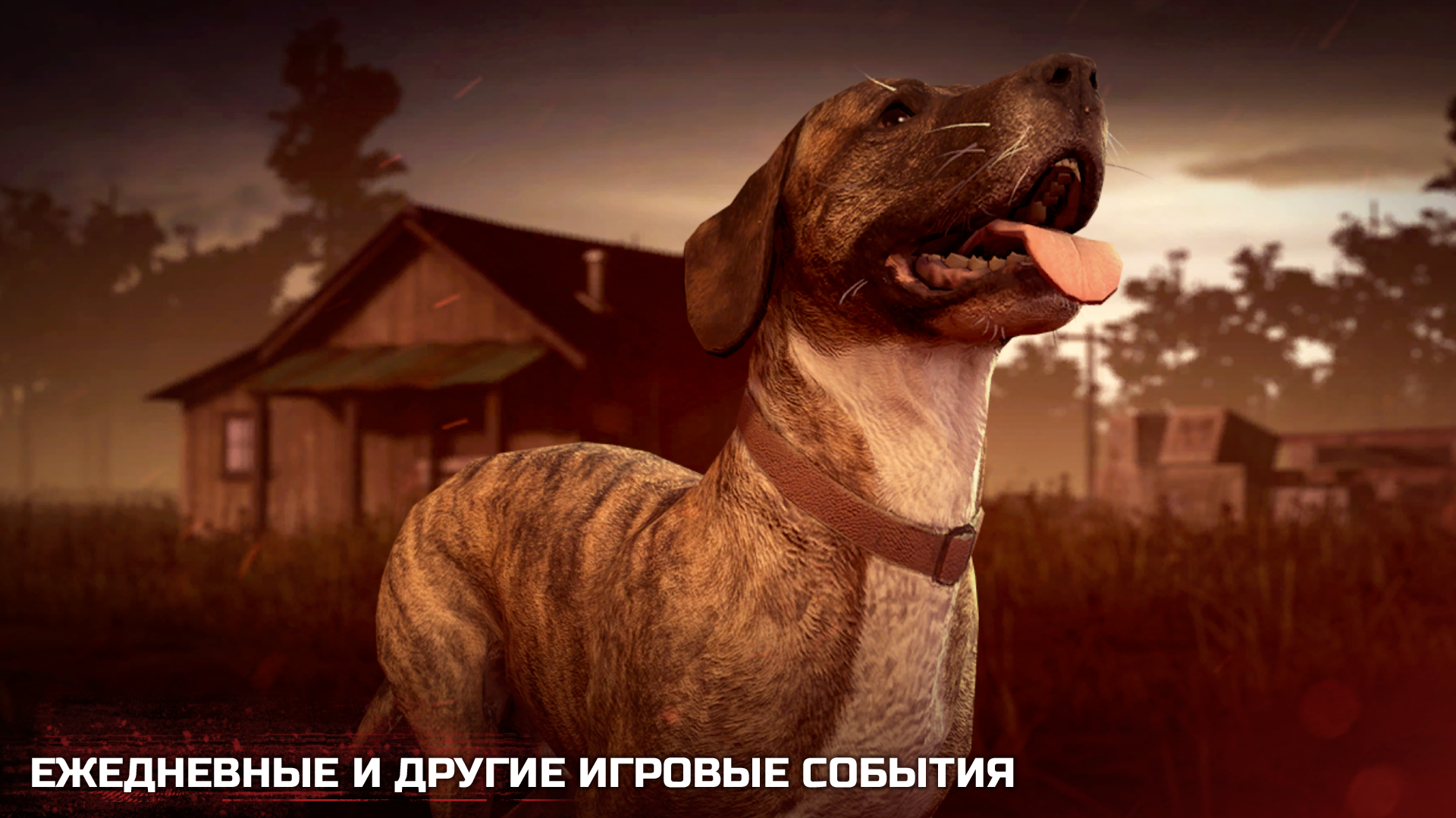 7UoE0KU.png
