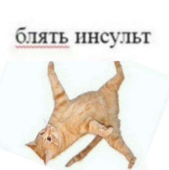 38f54e0b330f50a9ac56343520bbac1b.jpg