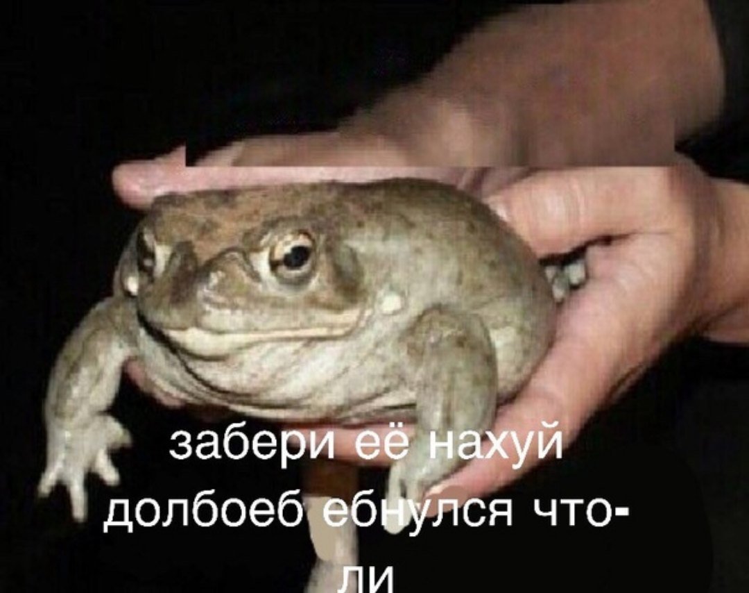 D5JRi-sXoAAeaUf.jpg:large