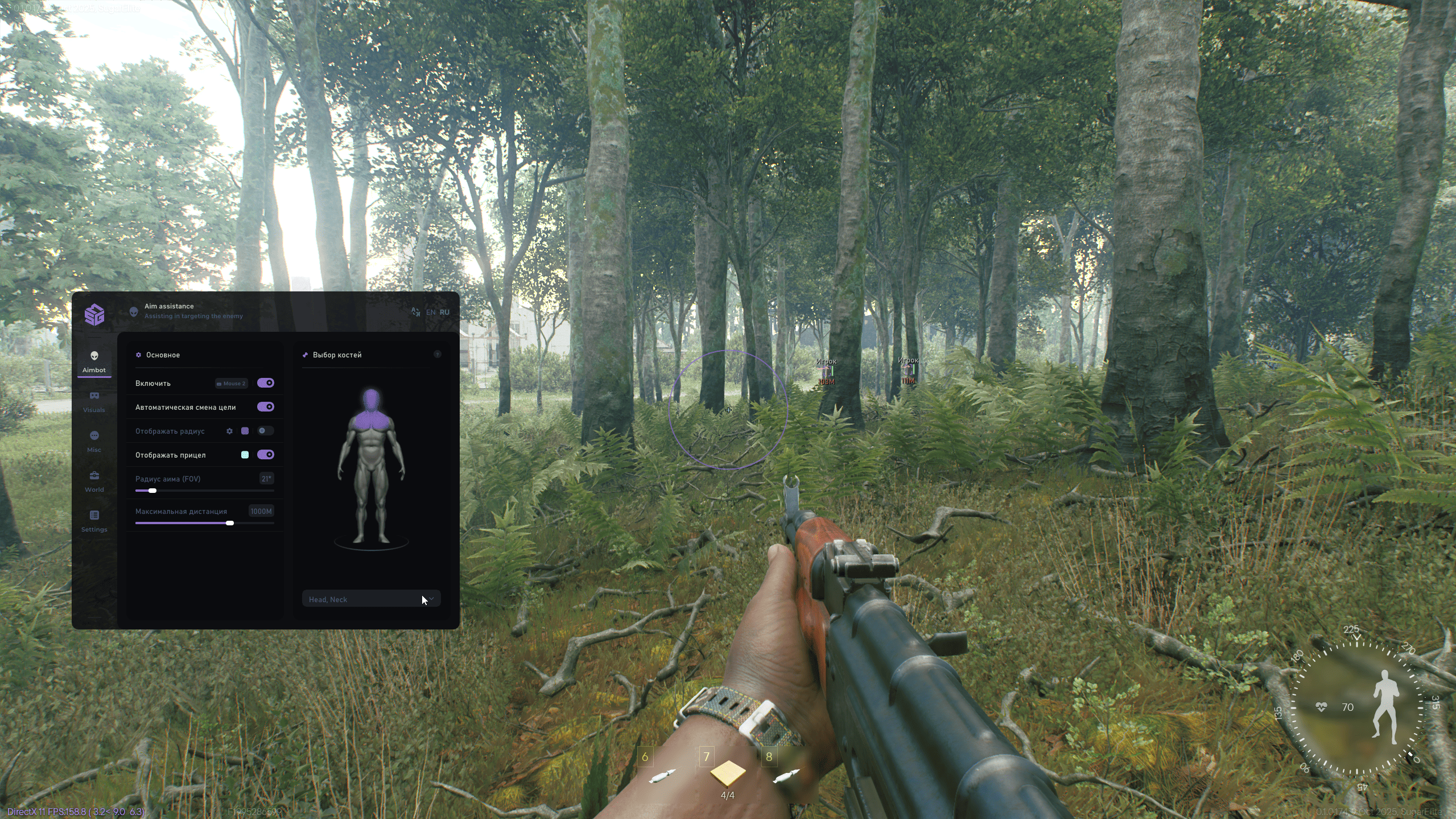 smg_active_matter_1.png