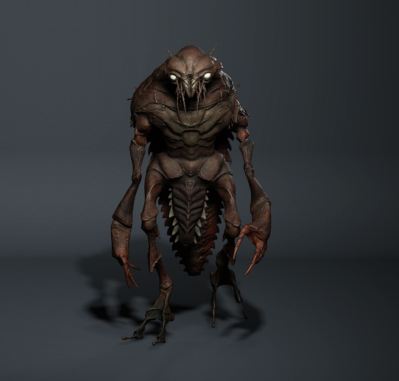 bug_1719951130.jpg