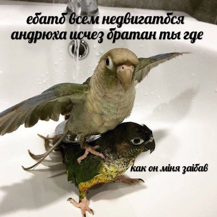 6NbKqoKvlnw.jpg