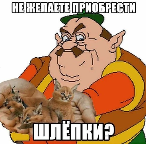 7LgVci0.png