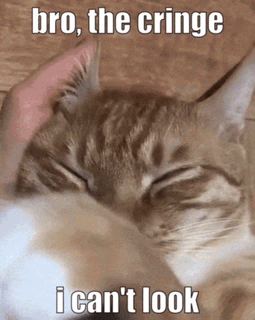 cringe-cat.gif