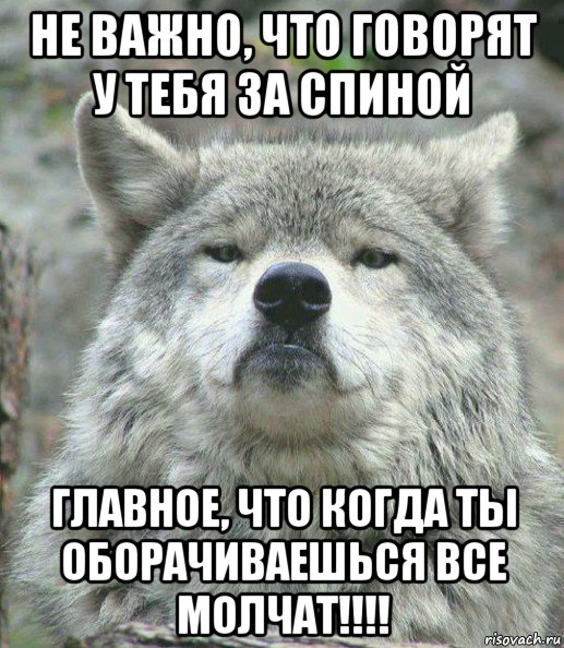 gordyy-volk_98196600_orig_.jpg
