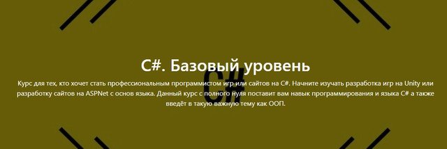 c-bazovyj-uroven-yayunior-lk_60f36f260adcb.jpeg