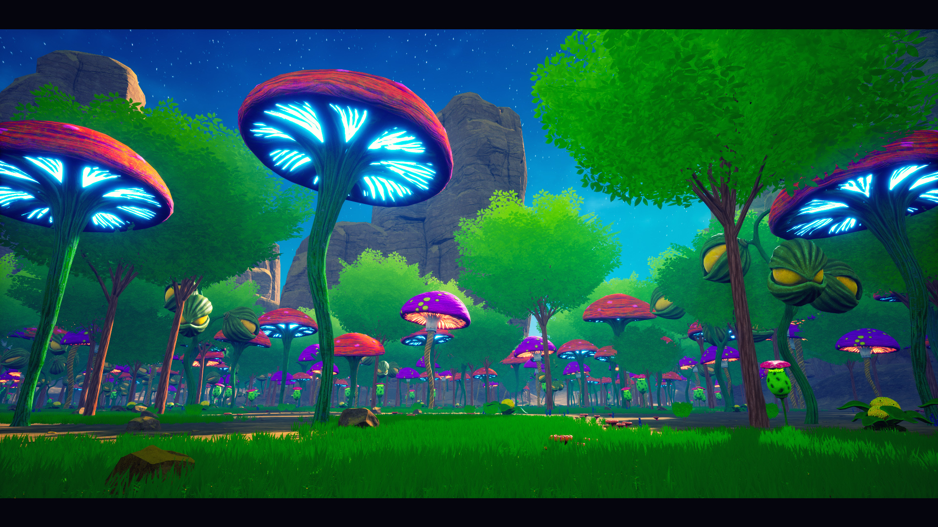 2-1920x1080-0db33e8f28e984d026d0329917897dc8.jpg