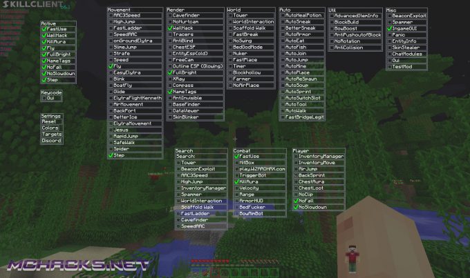 skillclient3-680x403.jpg