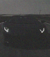 e2af52cc3f30253abf1ef8981ad94916.gif