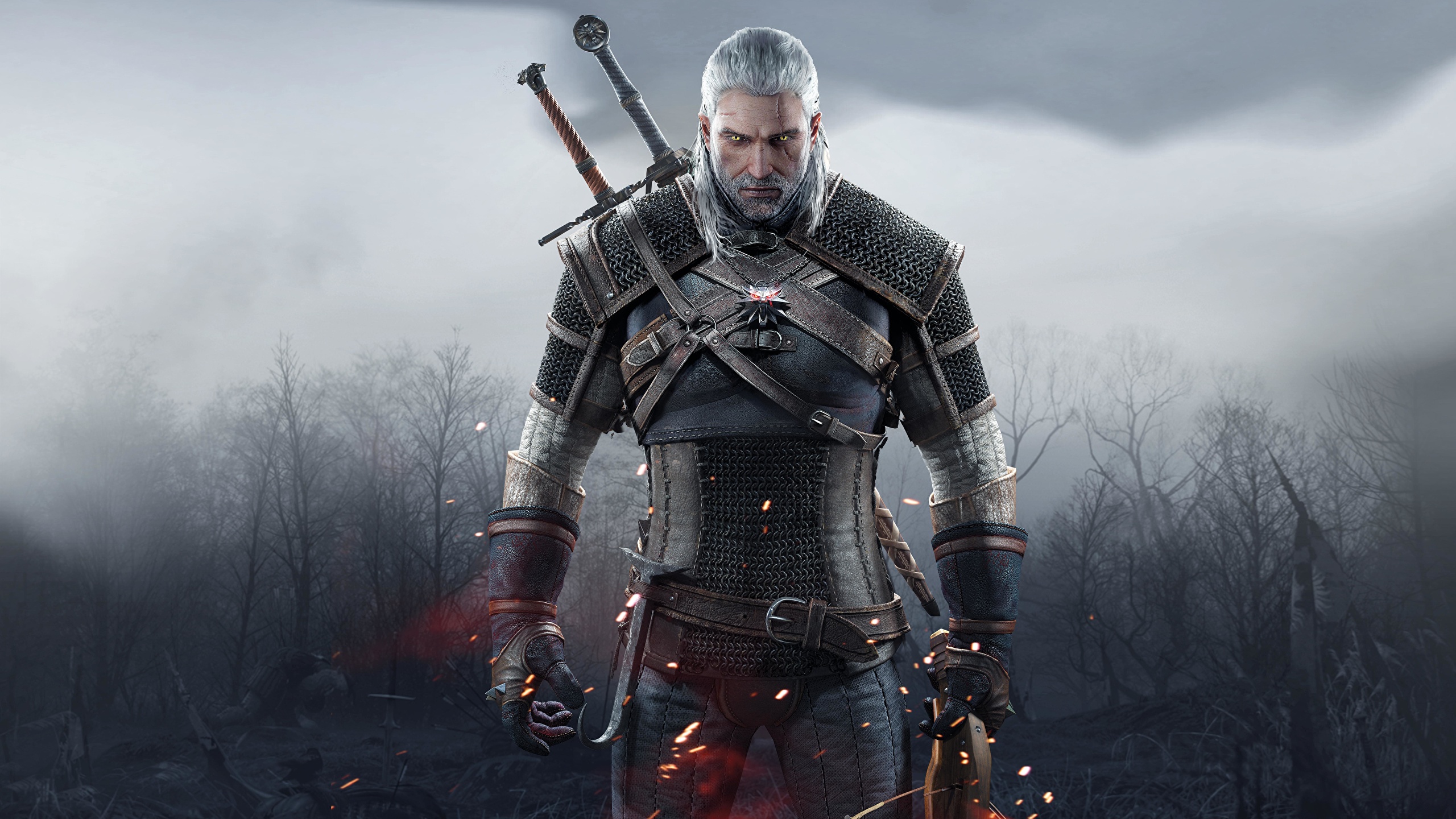 The_Witcher_3_Wild_Hunt_511216_2560x1440.jpg