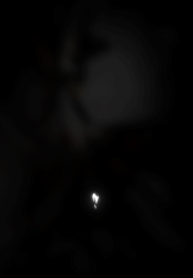 23978651.gif
