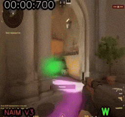 NAIMV3-Alpha-TEST.gif