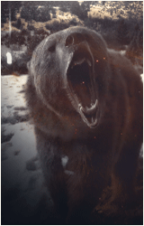 L7XE20c.gif