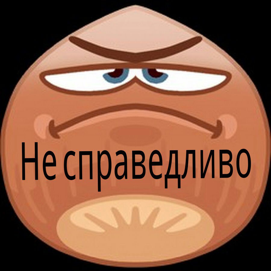 Справебыдло