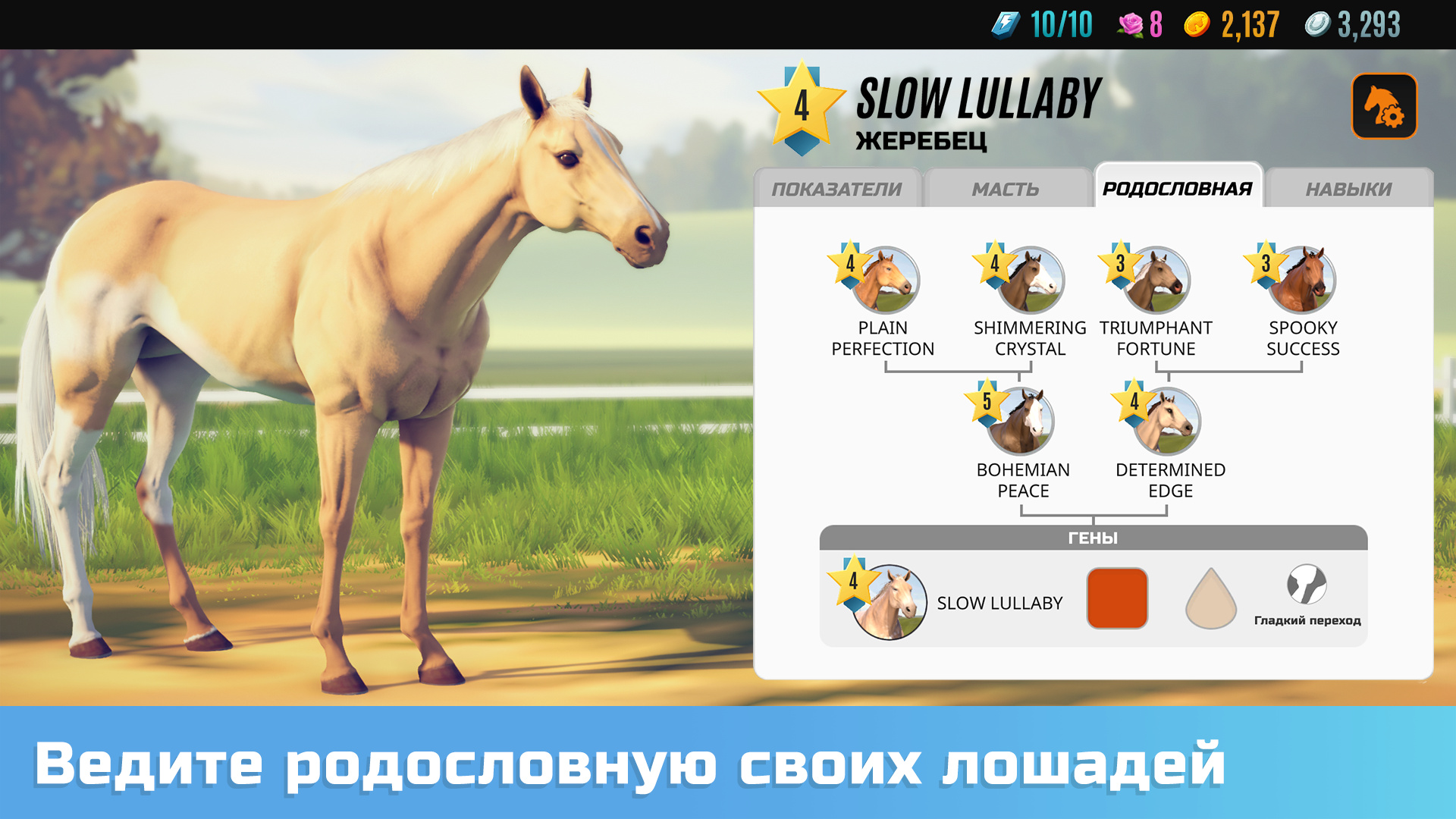 Sghaynk.png