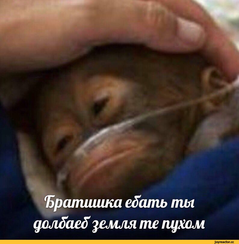 8MWvJuw.jpg