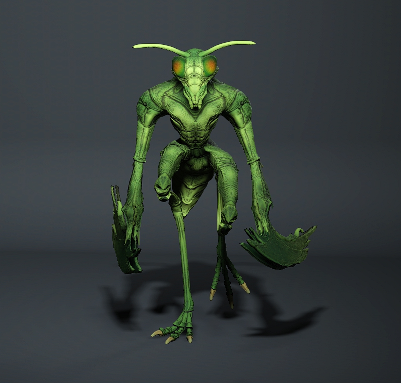insect_1719951428.jpg