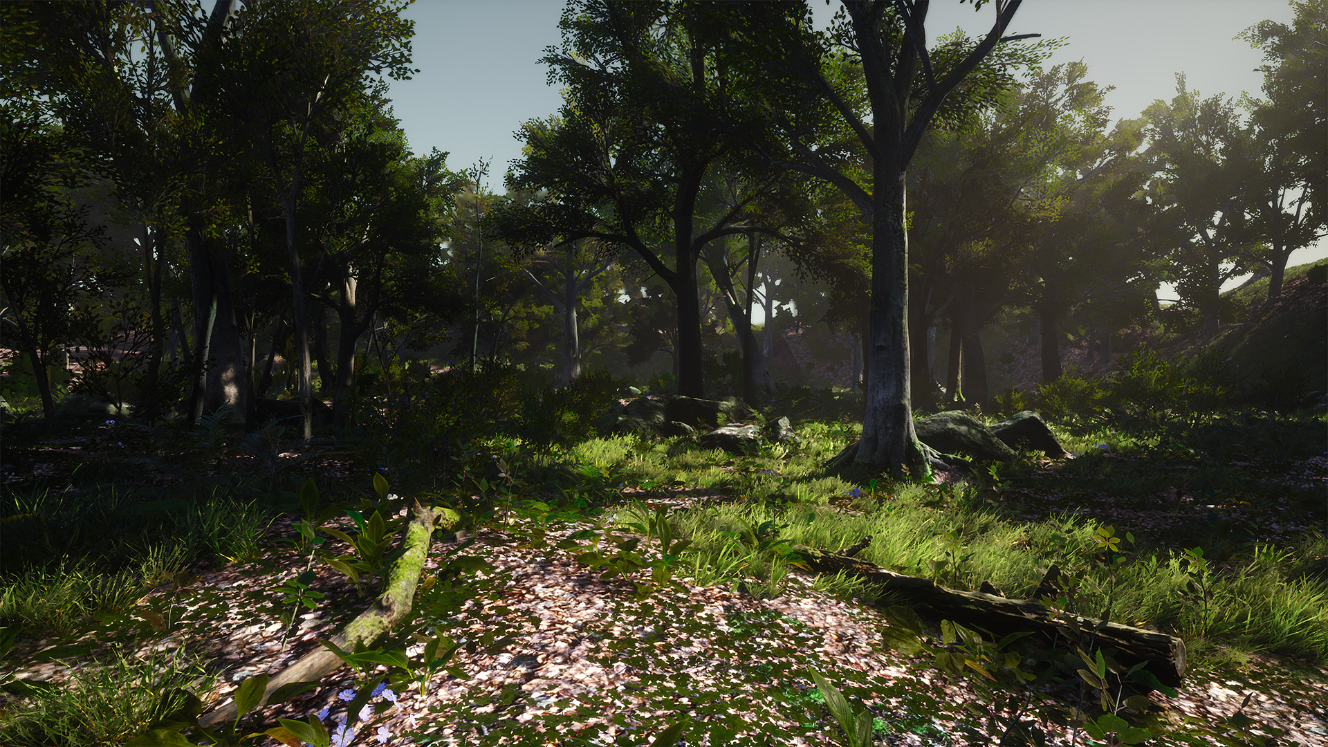 HighresScreenshot00012%20Kopie-1920x1080-0e66edcbfc3eab4d48ffee2e731eb192.jpg